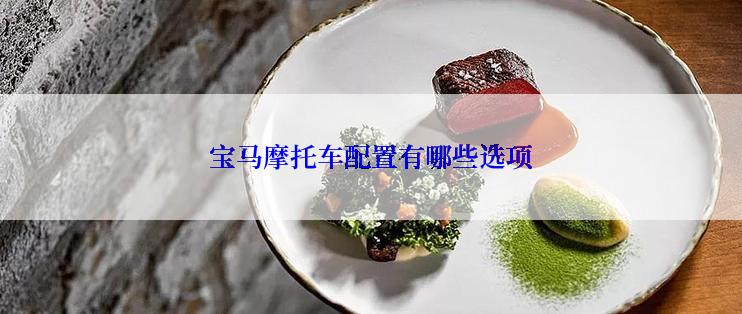 宝马摩托车配置有哪些选项