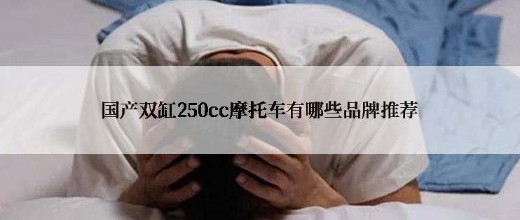 国产双缸250cc摩托车有哪些品牌推荐