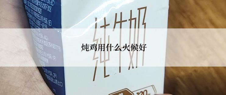  炖鸡用什么火候好