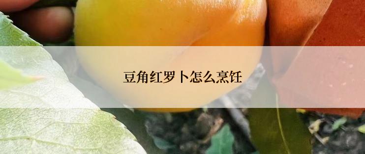 豆角红罗卜怎么烹饪