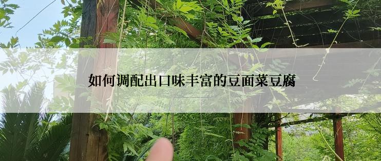  如何调配出口味丰富的豆面菜豆腐