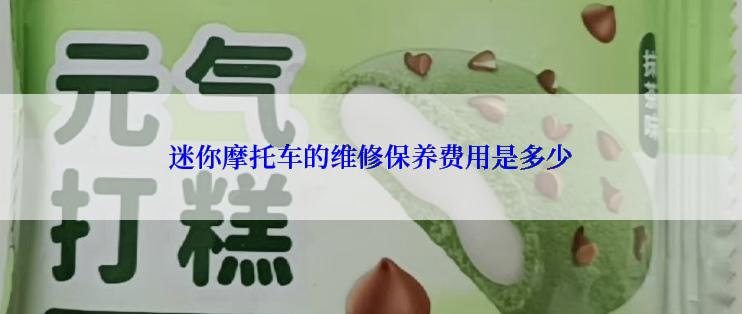 迷你摩托车的维修保养费用是多少