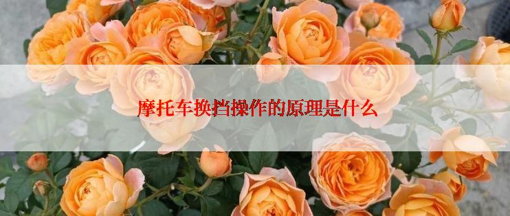  摩托车换挡操作的原理是什么