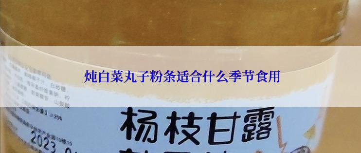  炖白菜丸子粉条适合什么季节食用