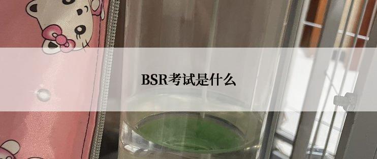 BSR考试是什么