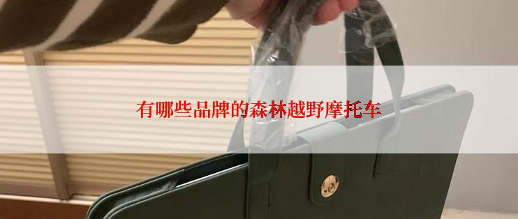 有哪些品牌的森林越野摩托车