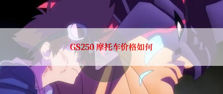 GS250 摩托车价格如何