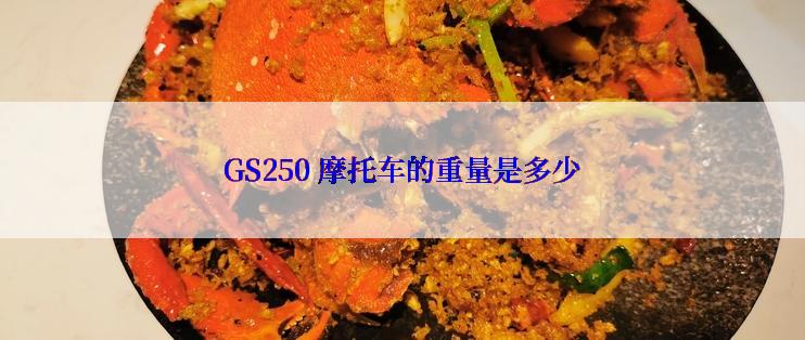 GS250 摩托车的重量是多少