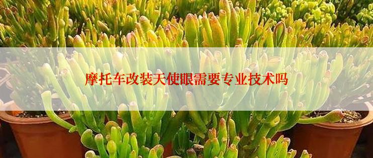 摩托车改装天使眼需要专业技术吗