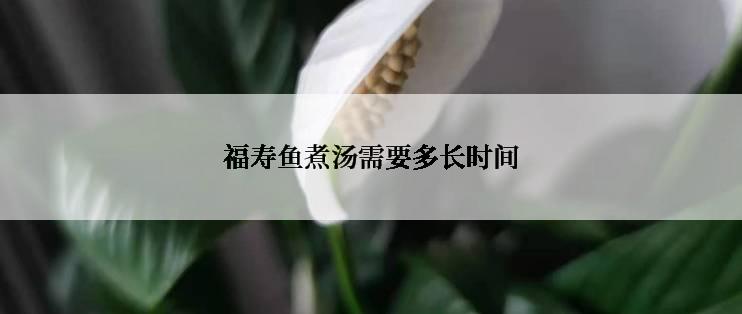 福寿鱼煮汤需要多长时间