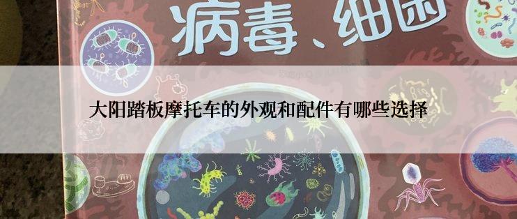 大阳踏板摩托车的外观和配件有哪些选择