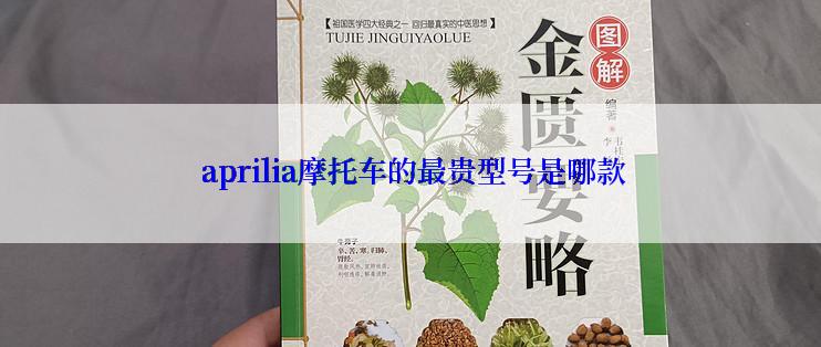  aprilia摩托车的最贵型号是哪款