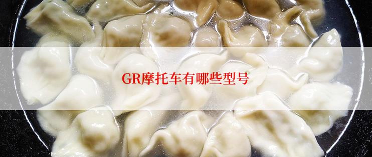 GR摩托车有哪些型号