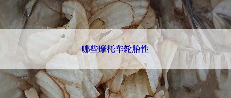 哪些摩托车轮胎性