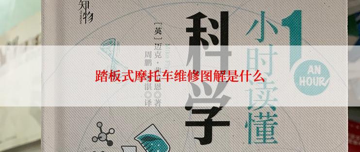 踏板式摩托车维修图解是什么