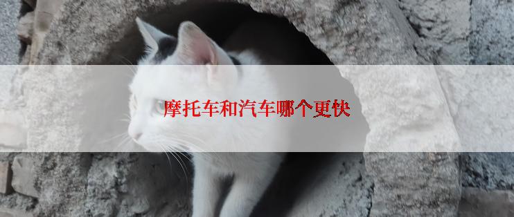 摩托车和汽车哪个更快