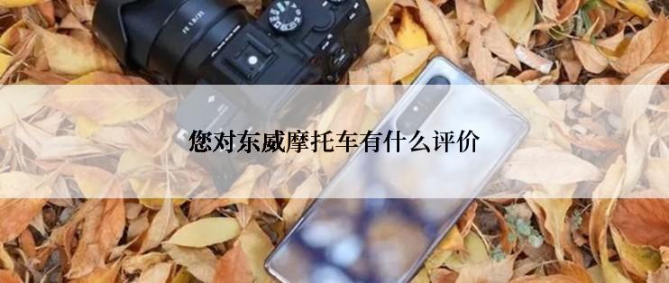 您对东威摩托车有什么评价