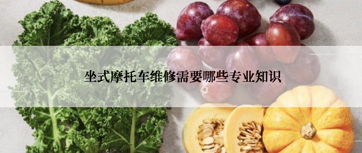  坐式摩托车维修需要哪些专业知识