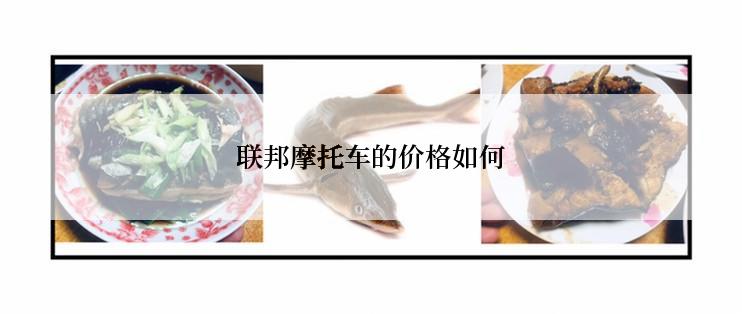 联邦摩托车的价格如何