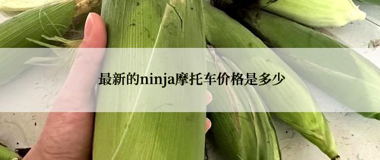  最新的ninja摩托车价格是多少